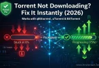 Torrent not downloading fix showing 0 percent stuck download and working solution with tracker fix